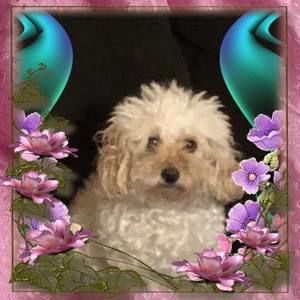 Meet your Posher, Candy